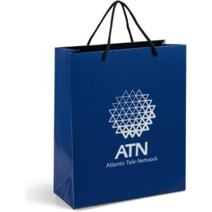 Paper Gift Bags